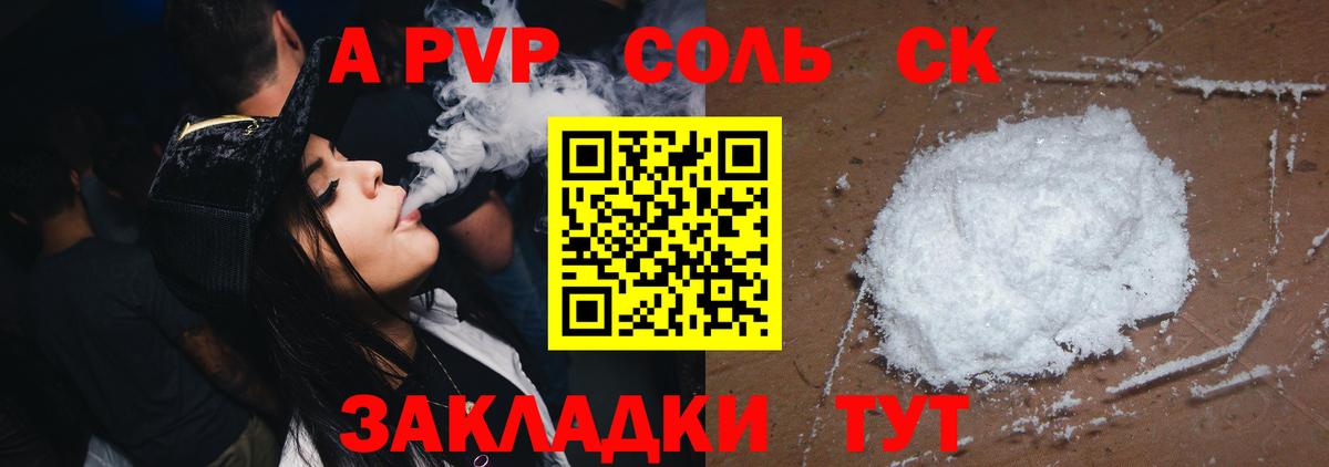 APVP СК Вологда