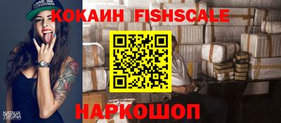 крисы Кингисепп