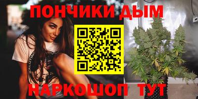крисы Кингисепп