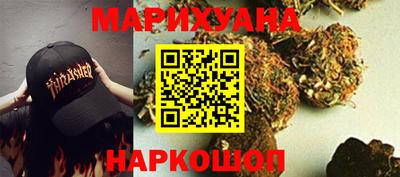 крисы Кингисепп