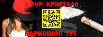 крисы Кингисепп