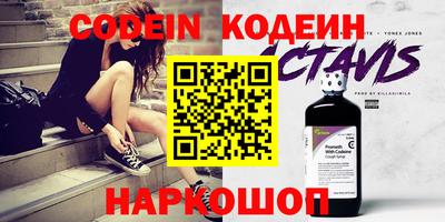 крисы Кингисепп