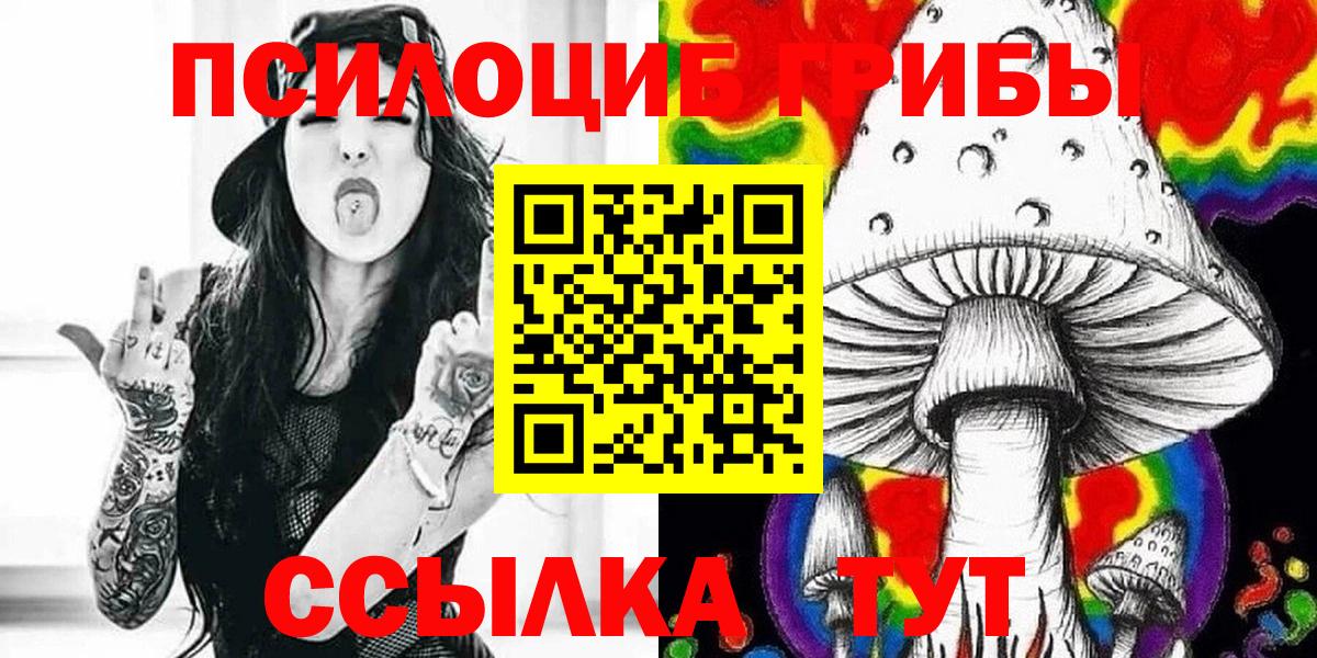 Вологда  Псилоцибиновые грибы GOLDEN TEACHER  купить наркоту  Вход с VPN 